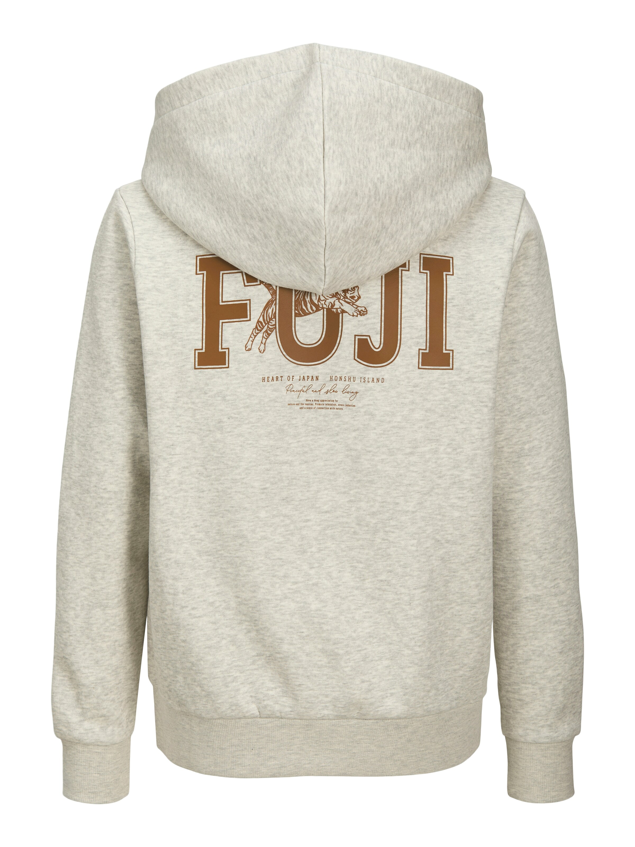Jack & Jones Junior Sweatshirt in Grau