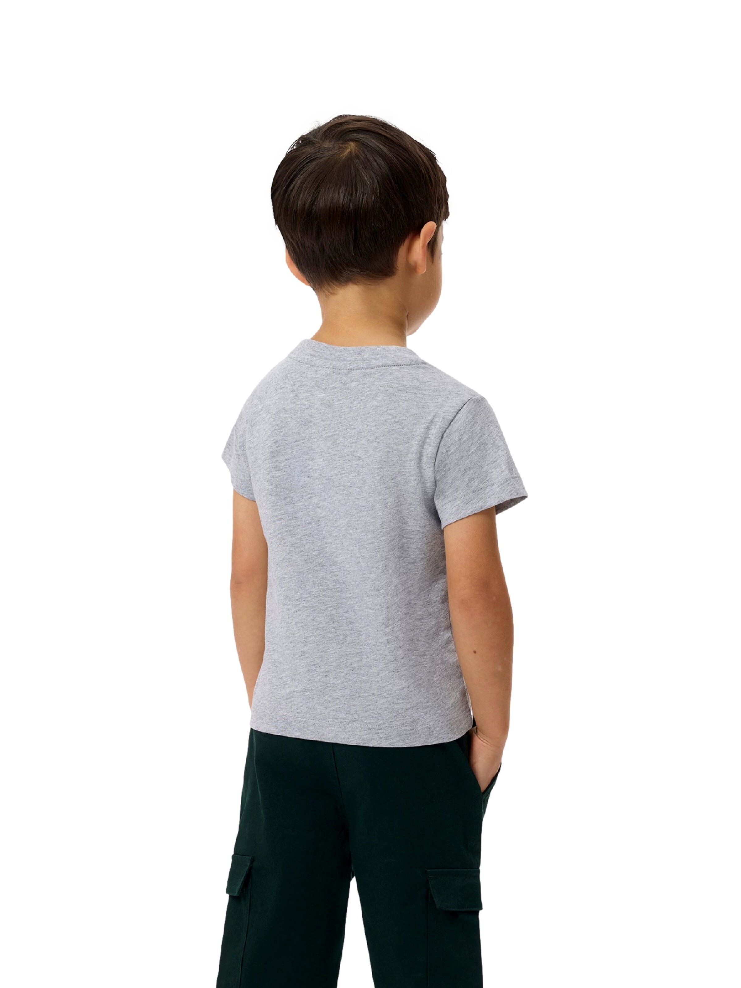 LACOSTE - Camisola em cinzento