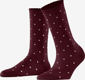 FALKE Socken 'Spike Dot' in Rot: Vorderseite