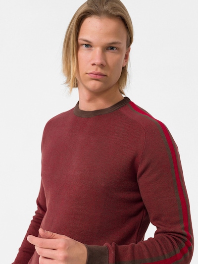 Dandalo Sweater in Brown / Red / Bordeaux, Item view