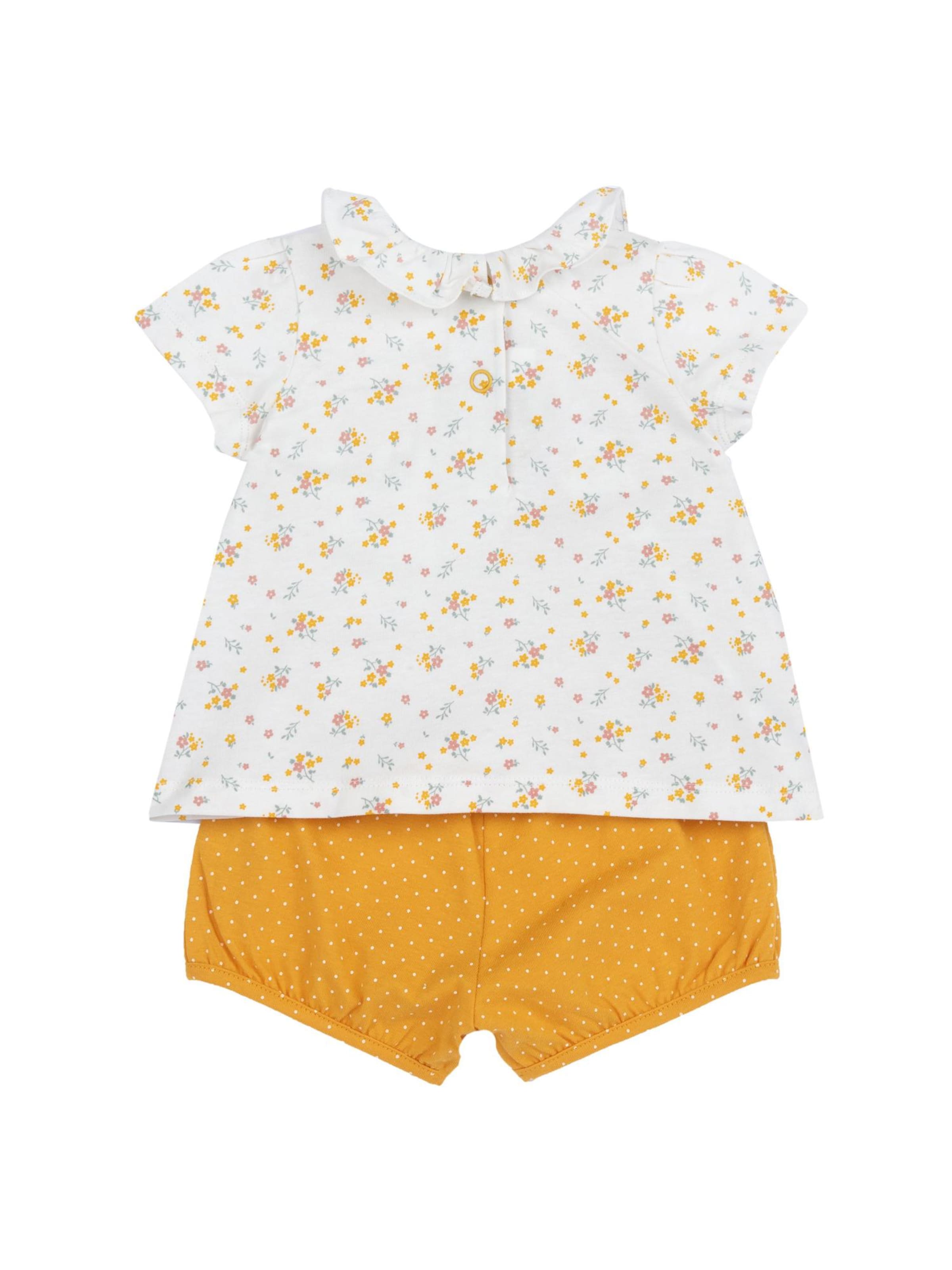 Chicco Setti värissä keltainen