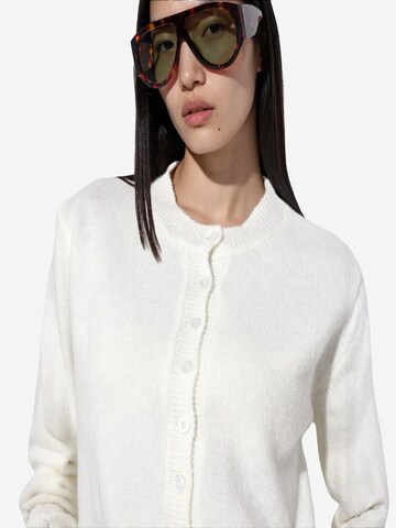 Viorna Gebreid vest in Wit
