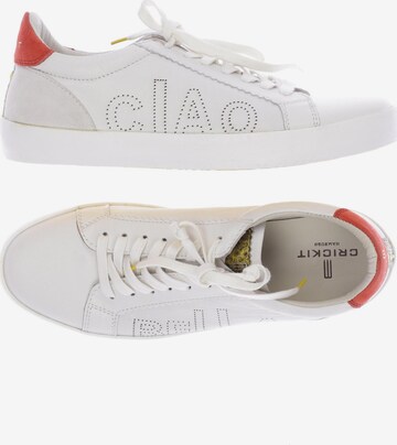 Crickit Sneakers & Trainers in 40 in White: front