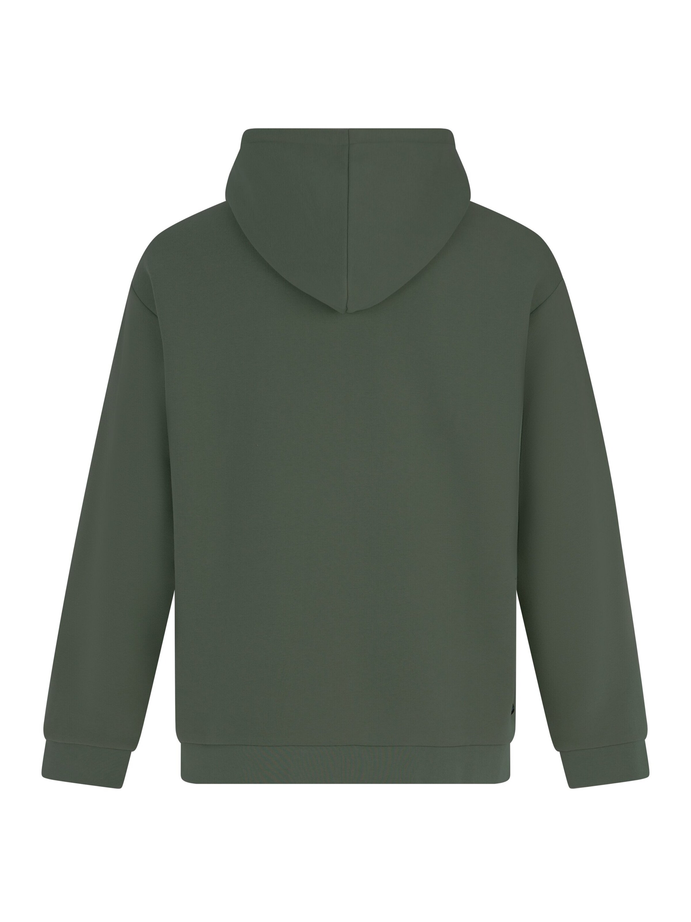 PROTEST Sweater 'PRTRoman' in Green