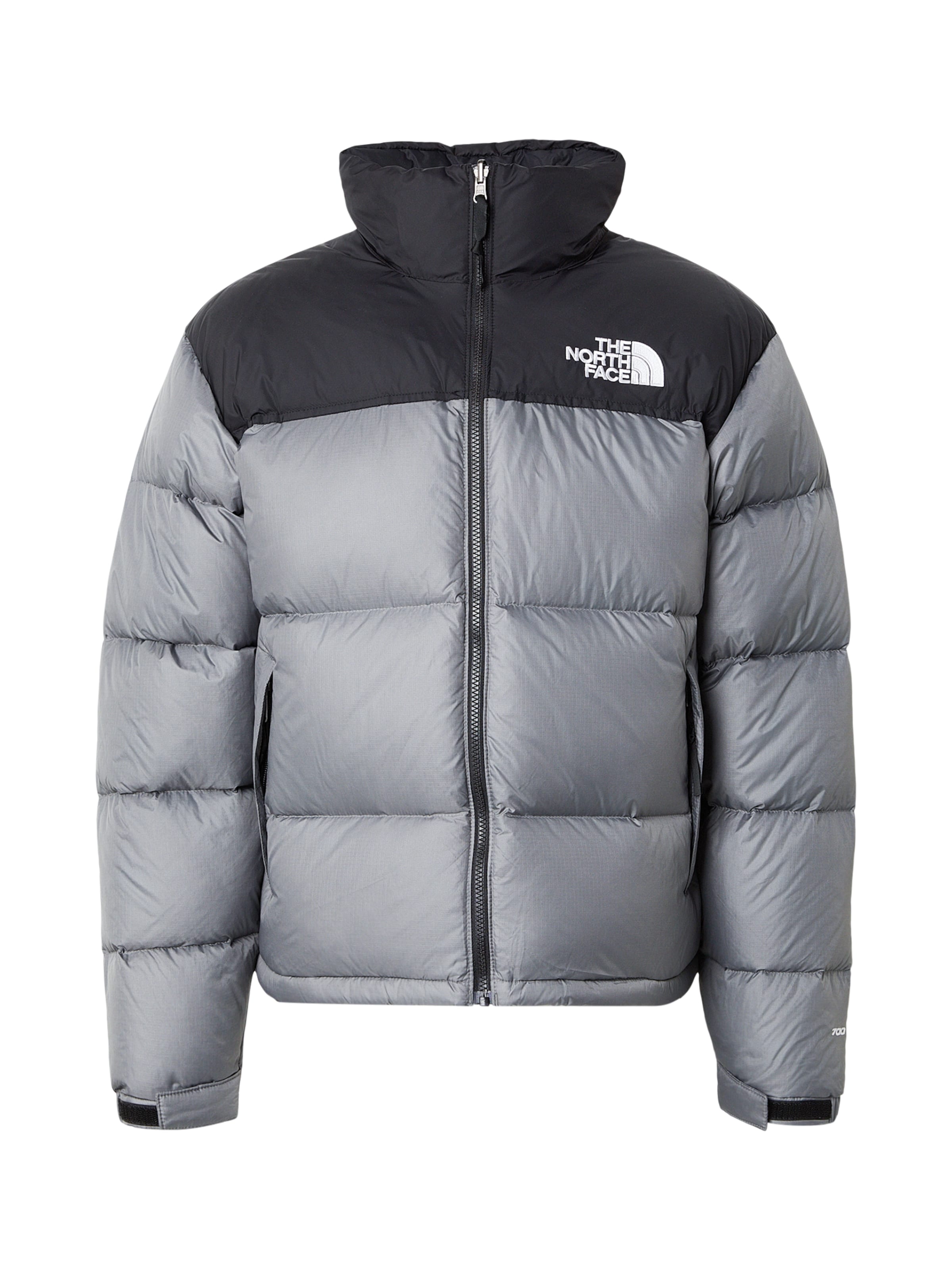 THE NORTH FACE Regular fit Χειμερινό μπουφάν '1996 RTO NUPTSE' σε ασημί: μπροστά