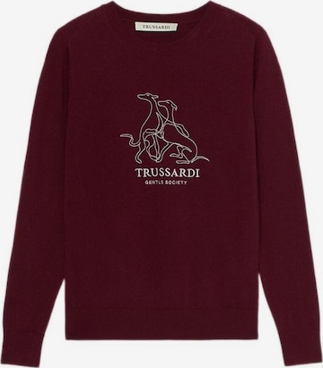 Trussardi Sweater in Brown: front