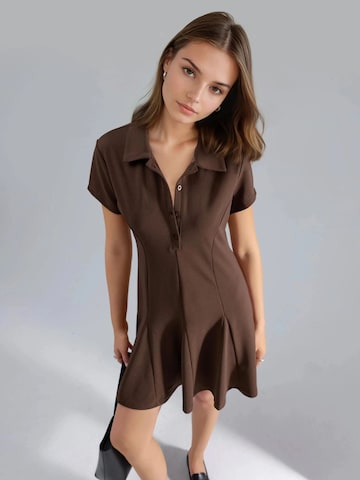 Busem Blousejurk in Bruin