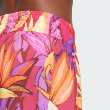 ADIDAS PERFORMANCE Loosefit Παντελόνι φόρμας 'Adidas x Farm Rio' σε ροζ