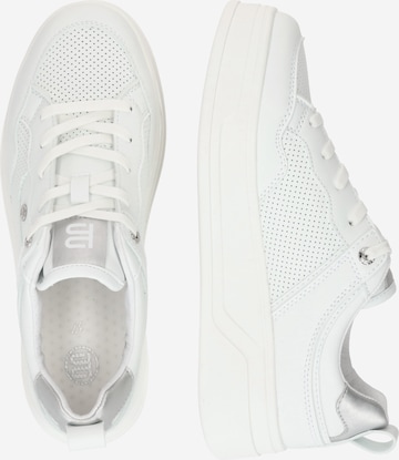 Baskets basses 'Piper' TT. BAGATT en blanc