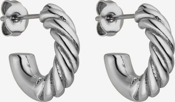 PURELEI Earrings in Silver: front