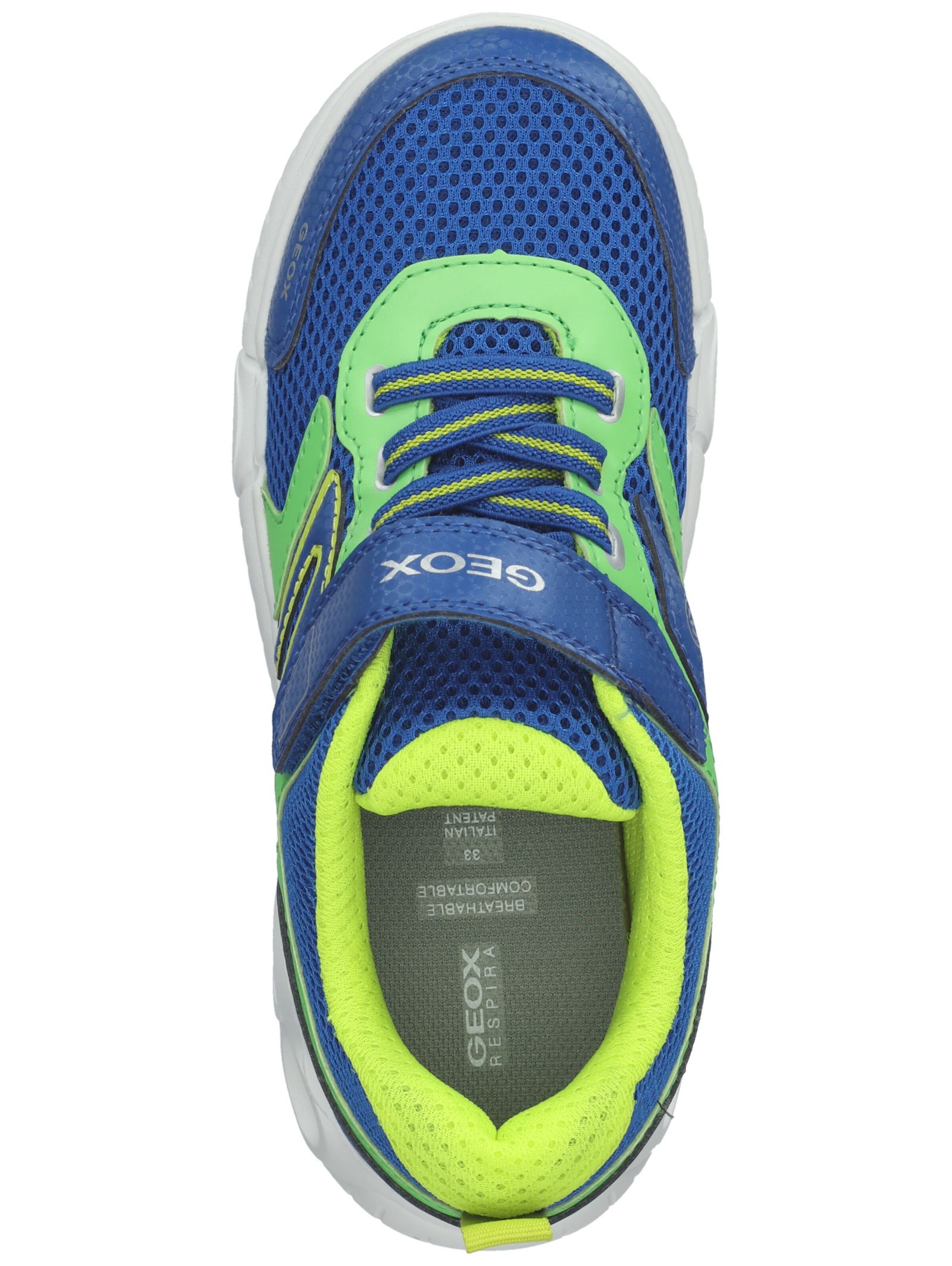 GEOX Sneaker in Blau