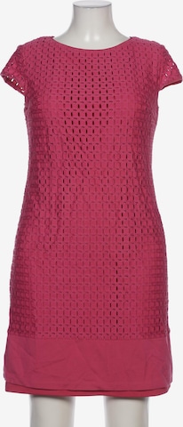 Betty Barclay Kleid XL in Pink: predná strana