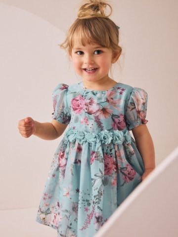 Next Dress in Blue