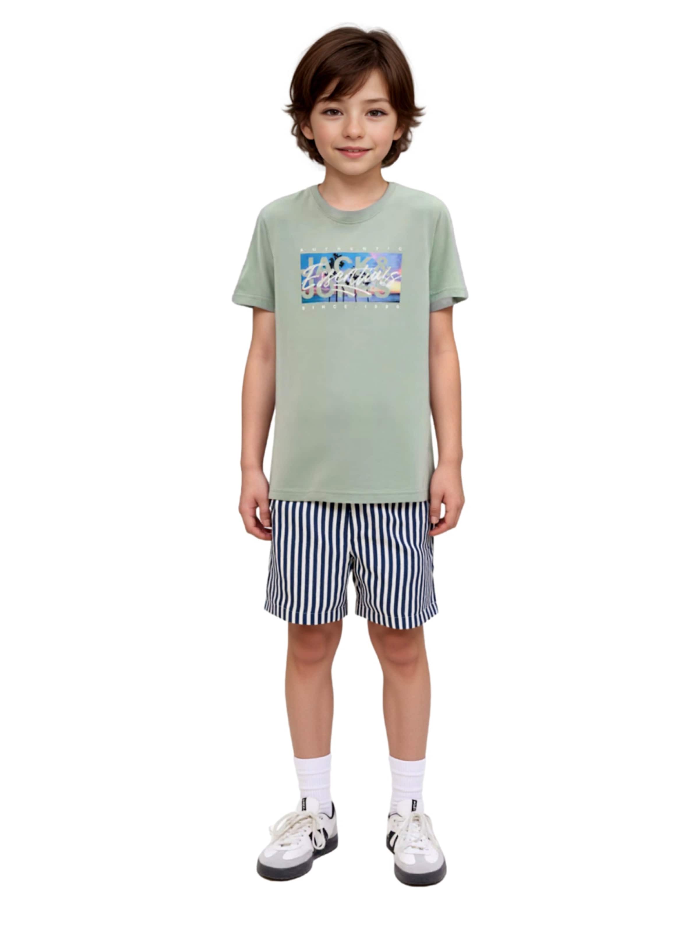 NAME IT Regular Trousers 'Fedenis' in Blue