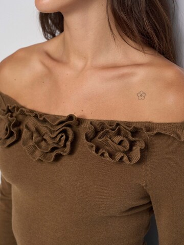 Pull-over Salsa Jeans en marron