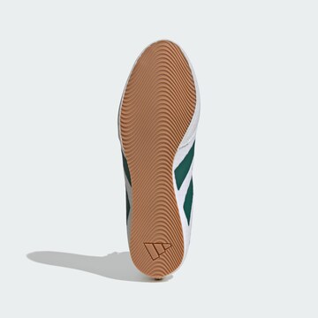 ADIDAS PERFORMANCE Sports shoe 'Box Hog 4' in White