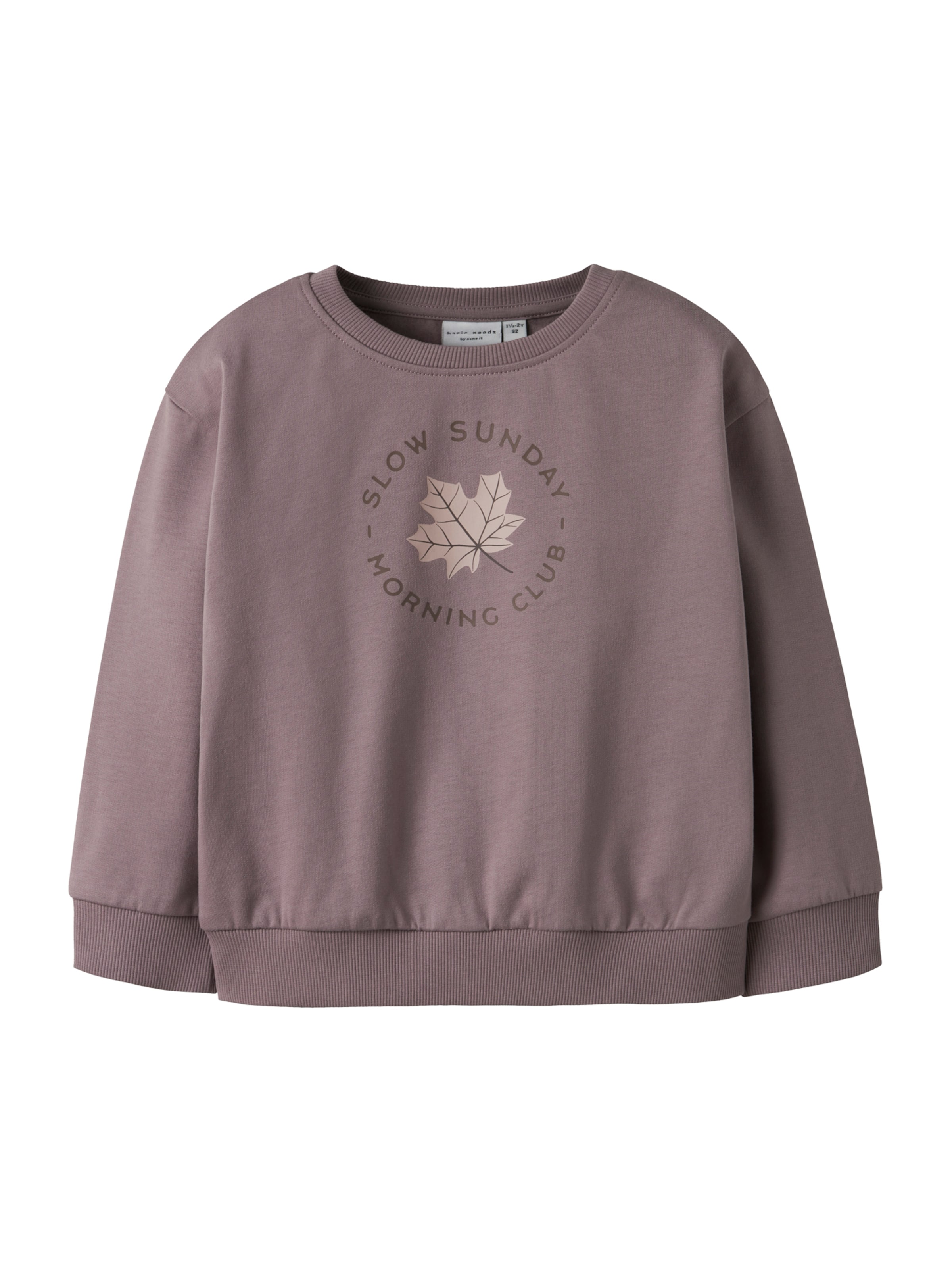 NAME IT Sweatshirt 'NMFVILOUI' in Purple: front