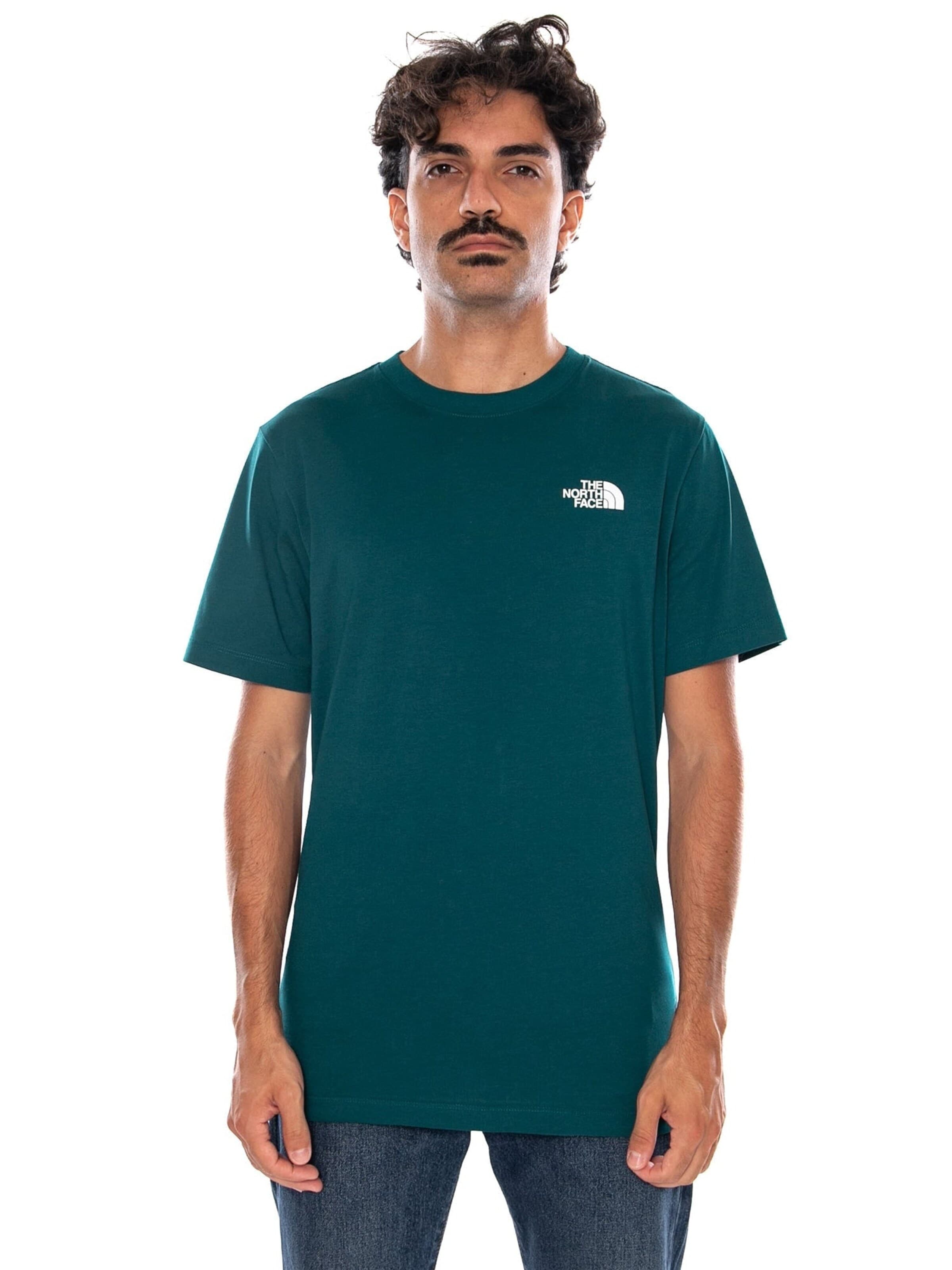 THE NORTH FACE Shirt‌‌‌‌‌‌‌‌‌‌ in Grün: Vorderseite