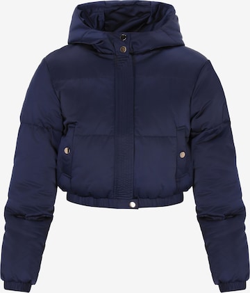 Geacă de iarnă de la faina pe albastru: față