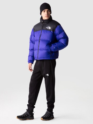 THE NORTH FACE Regularny krój Kurtka zimowa 'M 1996 Retro Nuptse' w kolorze niebieski