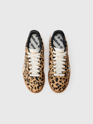 bēšs Reebok Zemie brīvā laika apavi 'CLUB C GROUNDS UK'