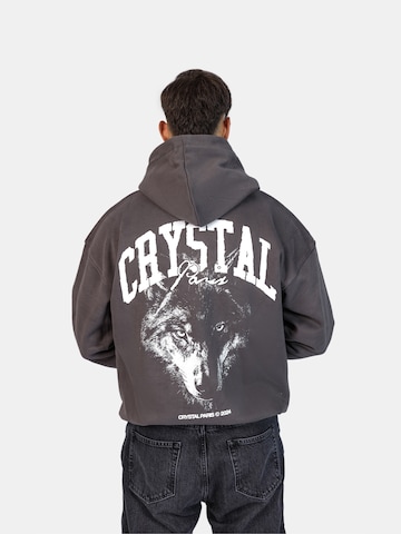 Crystal Paris Sweatshirt 'Nightwolf' in Grey