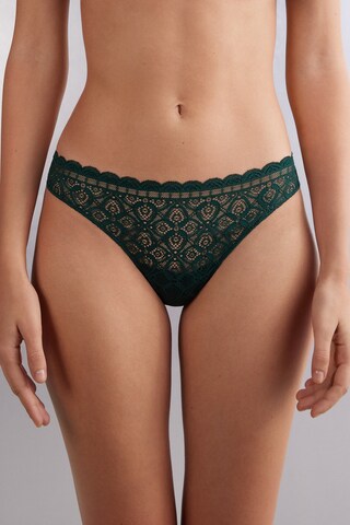 INTIMISSIMI Panty in Green: front