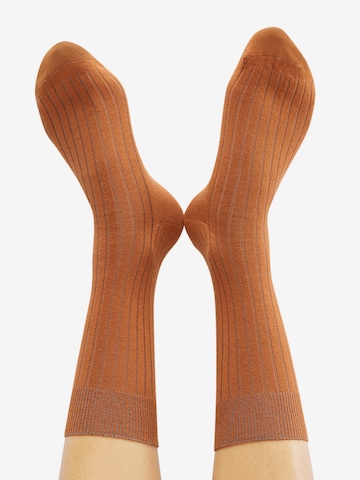 CHEERIO* Къси чорапи 'TOUGH GUY' в кафяво: отпред