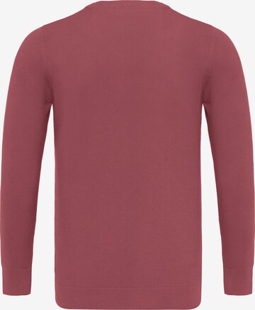 DENIM CULTURE Sweater ' NOVAK ' in Red