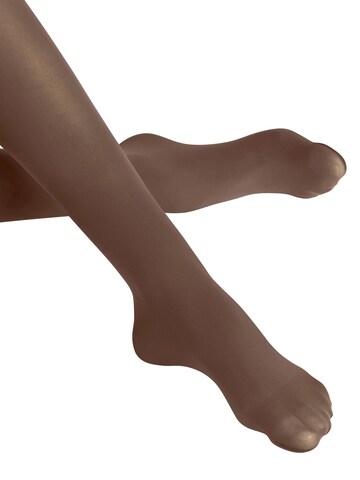 FALKE Strumpfhose 'Pure Matt'‌‌‌‌‌‌ in Braun