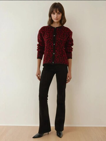 Giacchetta di Hiccup in rosso
