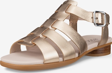 ECCO Sandale 'SCULPTED ALBA 25' in Gold: Vorderseite