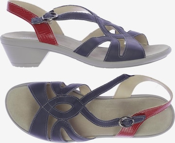 SALAMANDER Sandalen 40 in Blau: predná strana