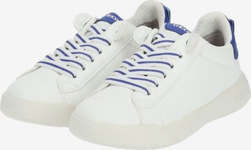 GEOX Sneakers in Wit