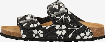 SHEPHERD - Zapatillas de casa en negro