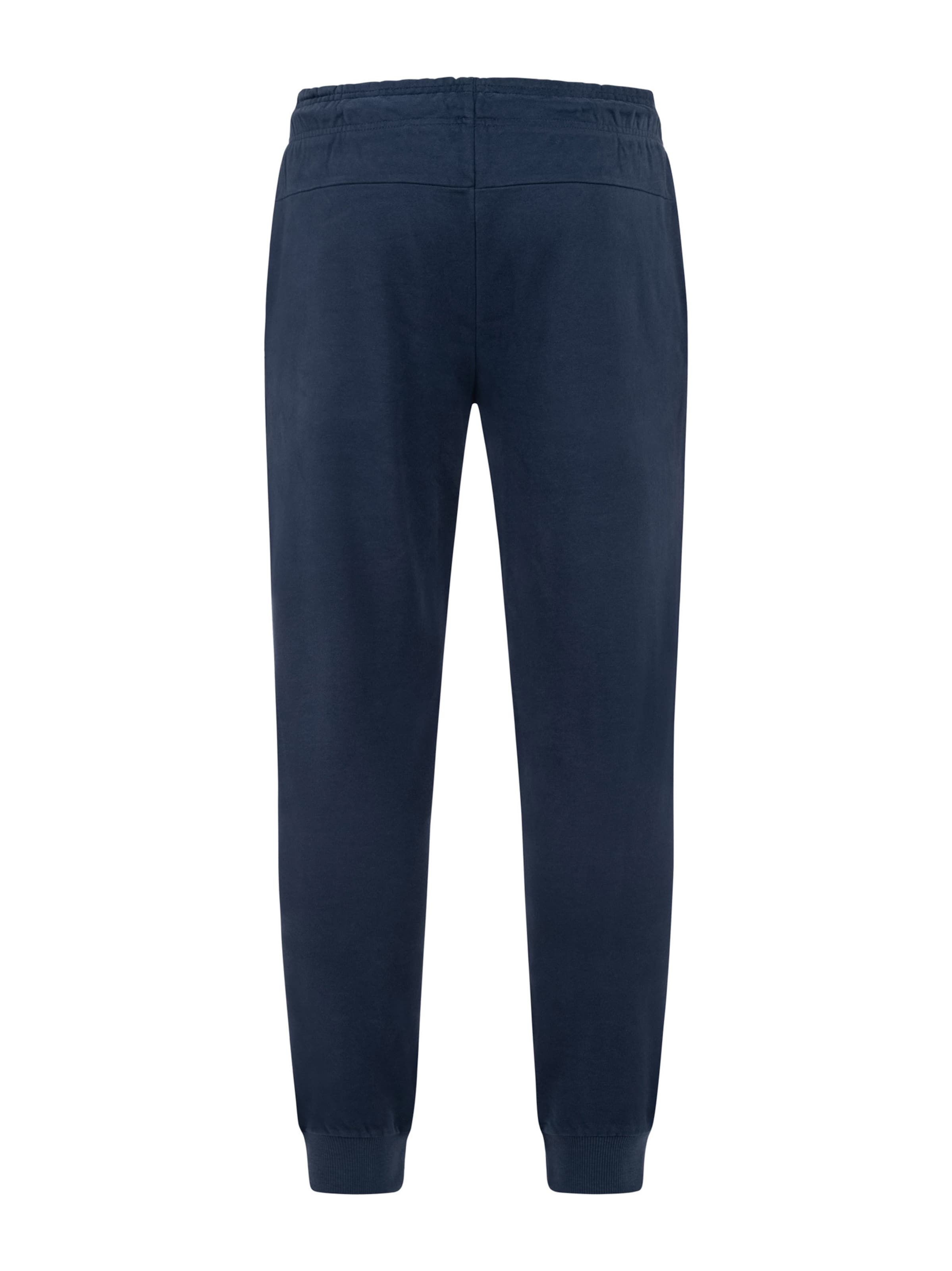 U.S. POLO ASSN. Tapered Hose in Blau