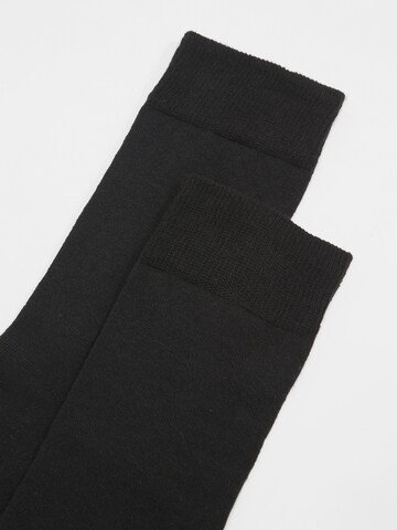 Albert Schäfer Socks in Black