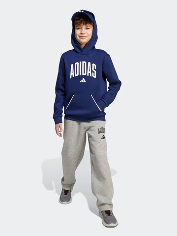 ADIDAS SPORTSWEAR - regular Pantalón deportivo 'Seasonals Essentials' en gris