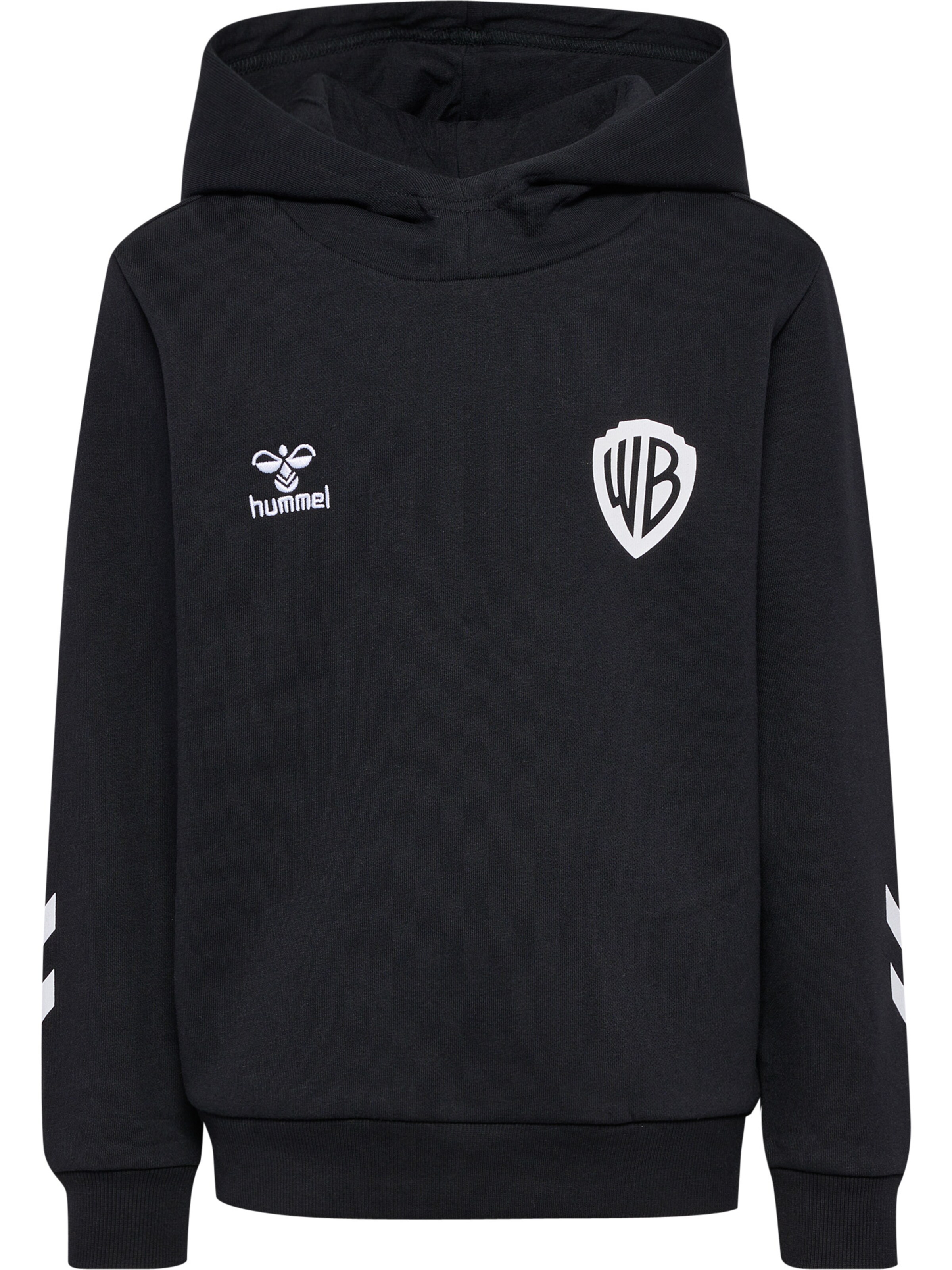 Hummel Sweatshirt 'CELEBRATING STORY ' in 104 in Mixed colours / Black, Item view