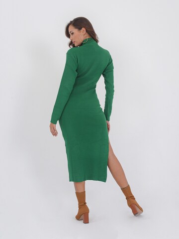 FRESHLIONS Knitted dress ' 'Svea' ' in Green