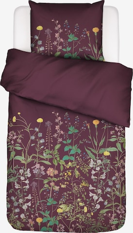 ESSENZA Bettwäsche 'Augustina' in Lila: Vorderseite