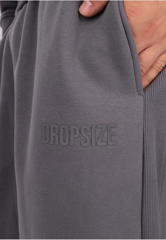 Loosefit Pantaloni di Dropsize in grigio