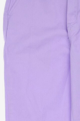 DICKIES Pants in S in Purple