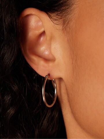 Lucardi Earrings in Silver: front