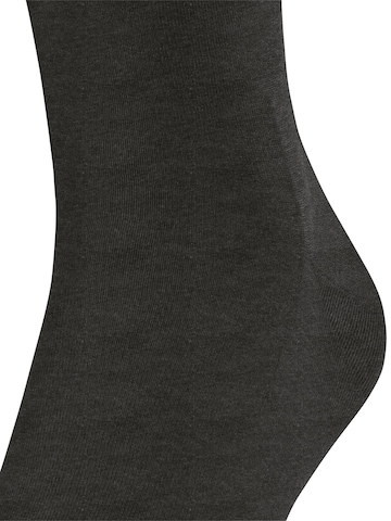 FALKE Knee High Socks 'ClimaWool' in Grey