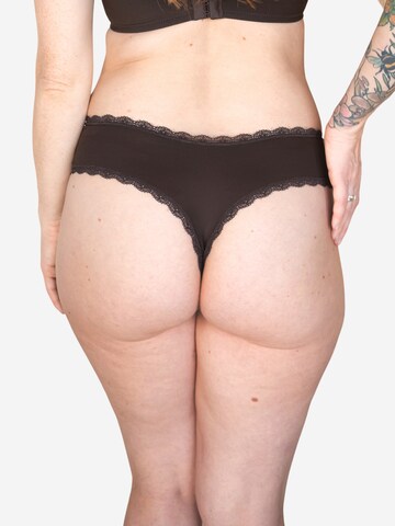 SugarShape String 'Pure' in Bruin