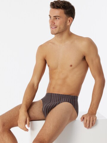 SCHIESSER Panty 'Essentials' in Brown