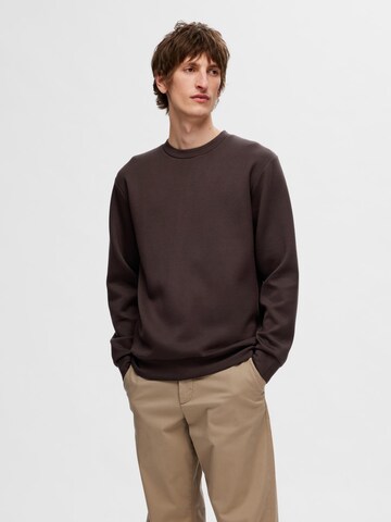 SELECTED HOMME Sweatshirt i brun: forside