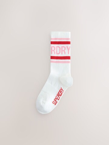 Superdry Носки в Ярко-розовый