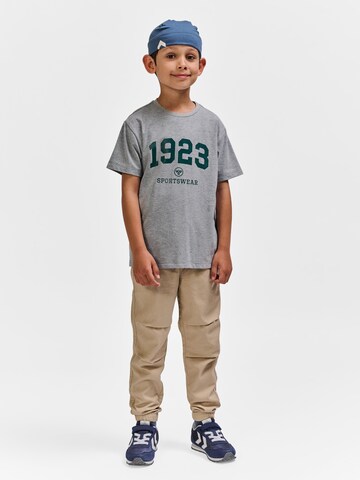 Hummel Shirt in Grey